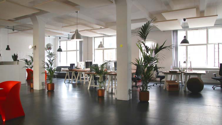 bureaux en open space